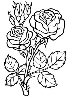 Rose Coloring Pages, Printable Flower Coloring Pages, Vegetable Coloring Pages, Printable Adult Coloring Pages, Coloring Pages For Kids, Coloring Books, Flower Coloring Sheets, Roses Drawing, Flower Drawing