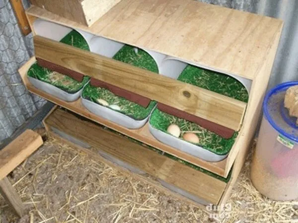 Простое гнездо с наклонным полом для кур несушек. 