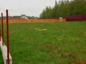 Сарай возможно возвести практически на любом месте