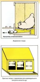 Гнездо с двойным дном