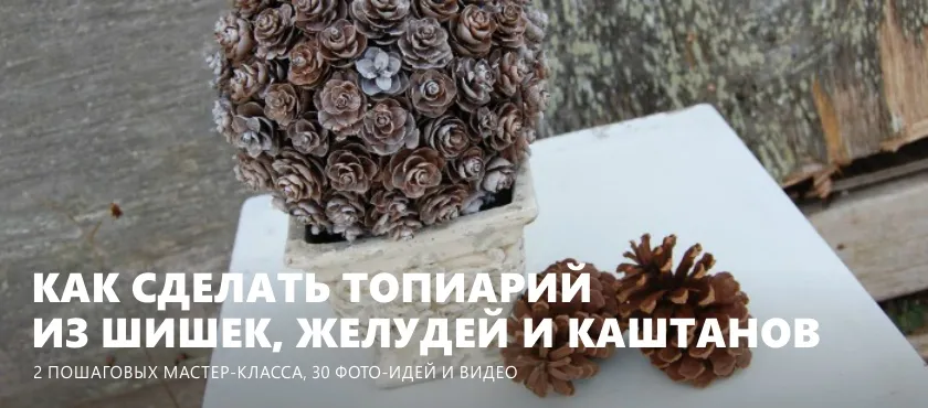 Топиарий из шишек/каштанов/желудей - 30 ... Топиарий из шишек/каштанов/желудей - 30 ...