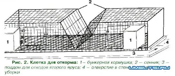 Клетка для кроликов из сетки - чертежи