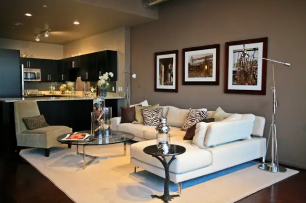 contemporary-living-room (2)