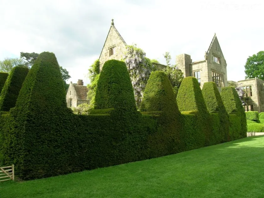 dcc423_a1c9a27e1ae4480f94624be431546195