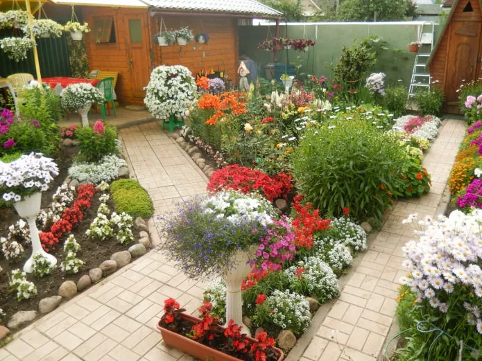 Сад на участке Сад на участке