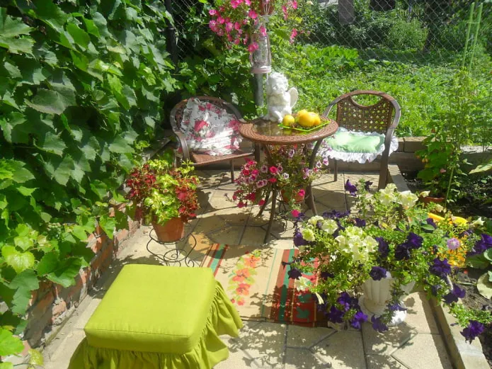 Патио Патио