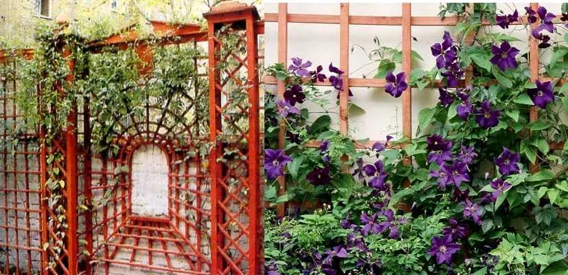 Украшаем дачу своими руками: интересные идеи (100 Фото) Украшаем дачу своими руками: интересные идеи (100 Фото)