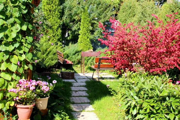 Туи, мангал и скамейки Туи, мангал и скамейки