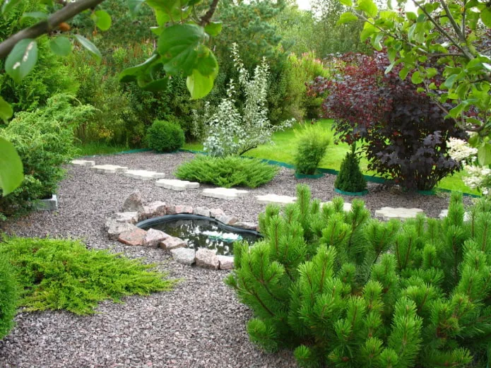 Участок с хвойными Участок с хвойными