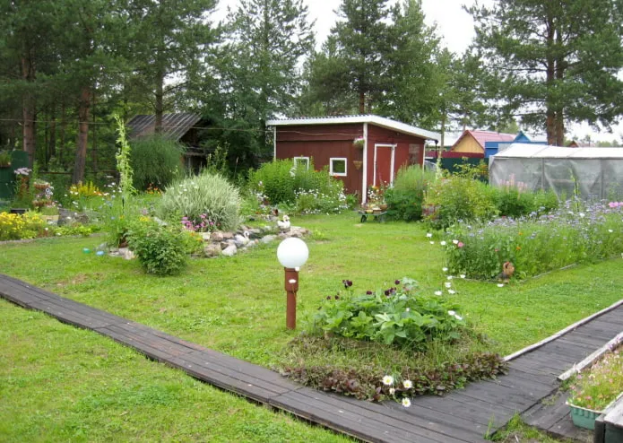 Дачный участок с дорожками из досок Дачный участок с дорожками из досок