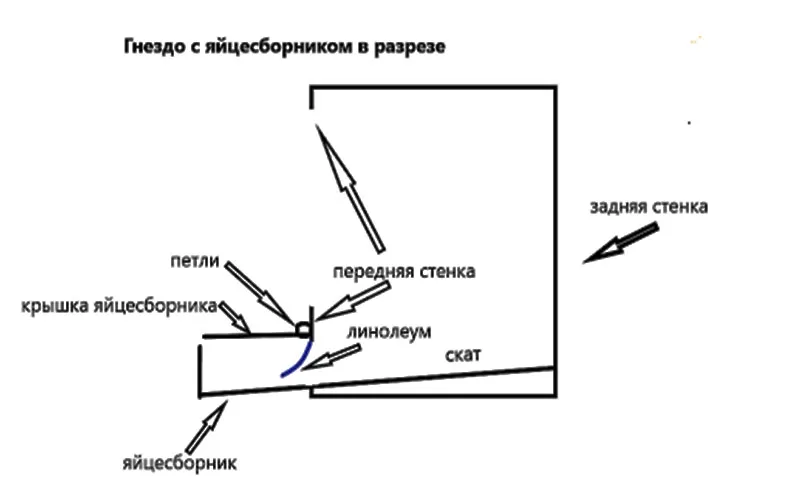 Чертёж гнезда с яйцесборником