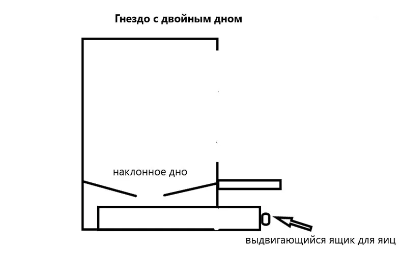 Гнездо с двойным дном