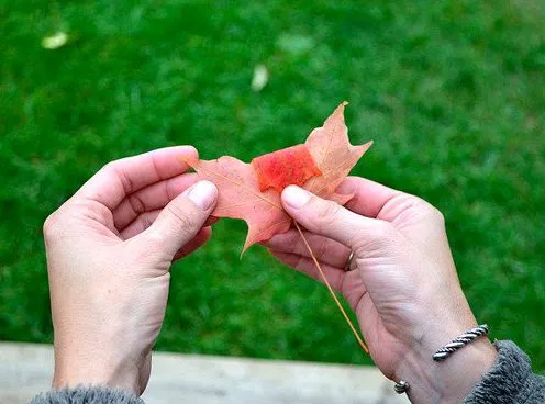 Как сделать розу из бумаги, фоамирана, фетра, ленты и других материалов (15 мастер-классов)