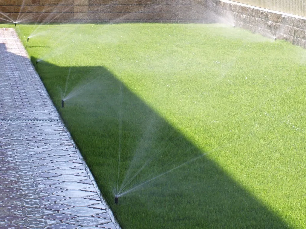 Автоматический полив