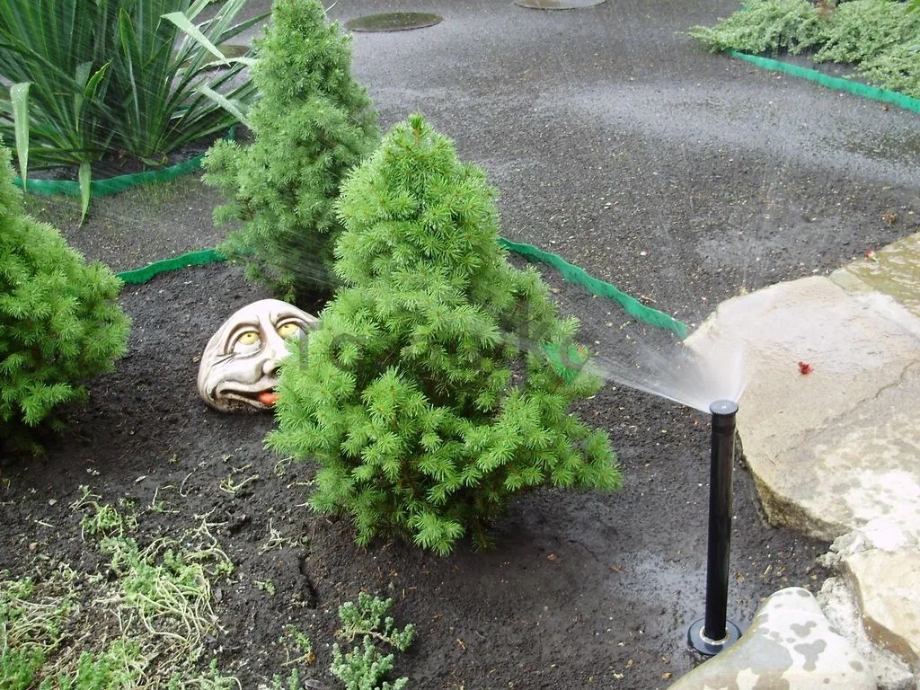 Проверка работоспособности