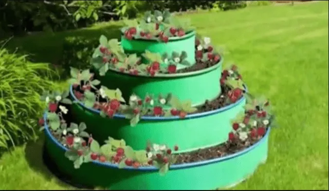 Ограждения для грядок из пластика: плюсы и минусы материала, идеи для оформления