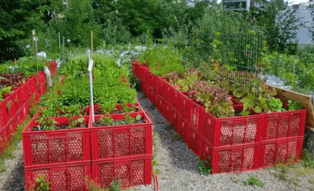 Ограждения для грядок из пластика: плюсы и минусы материала, идеи для оформления