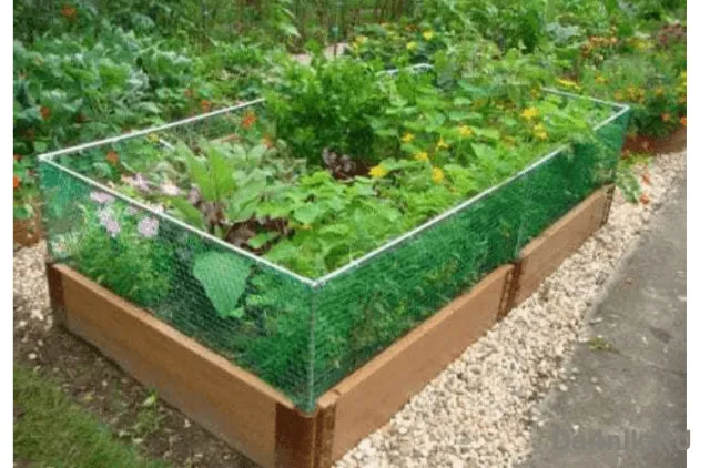 Ограждения для грядок из пластика: плюсы и минусы материала, идеи для оформления