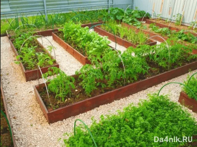 ограждения для грядок из пластиковых панелей