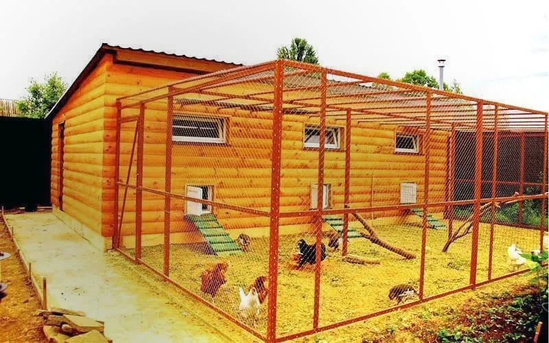 Как построить курятник своими руками ...