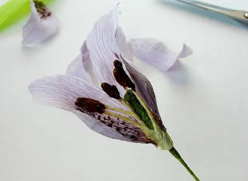 Цветы из гофрированной бумаги своими руками: простые мастер-классы