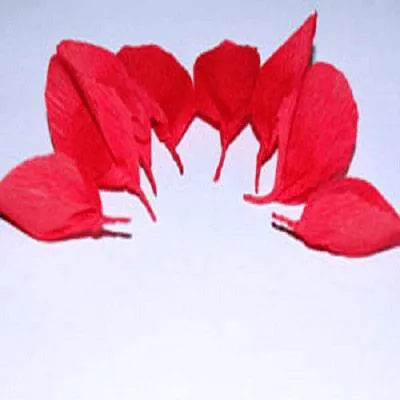 Цветы из гофрированной бумаги своими руками: простые мастер-классы