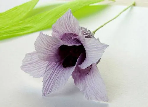 Цветы из гофрированной бумаги своими руками: простые мастер-классы