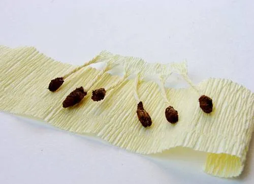 Цветы из гофрированной бумаги своими руками: простые мастер-классы