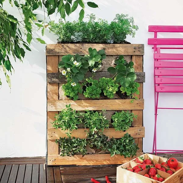 Грядка из паллеты Грядка из паллеты