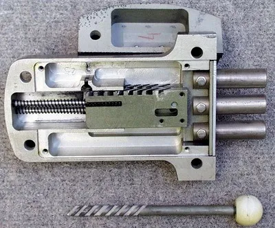 Dvernoi zamok rigelnyi