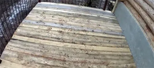 Как сделать самостоятельно вольер для собак: фото и пошаговый мастер-класс