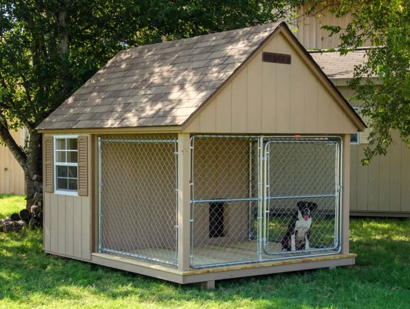 Вольер для собак: фото