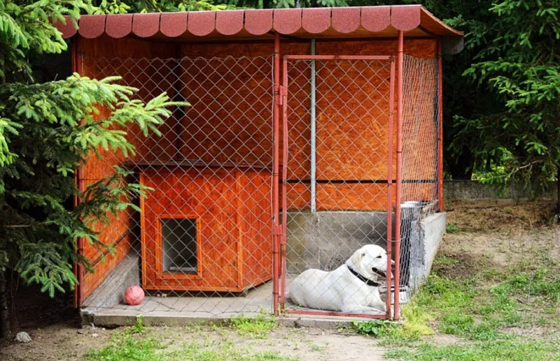 Небольшой вольер для постоянного содержания не годится. Но идеален для временного нахождения животного