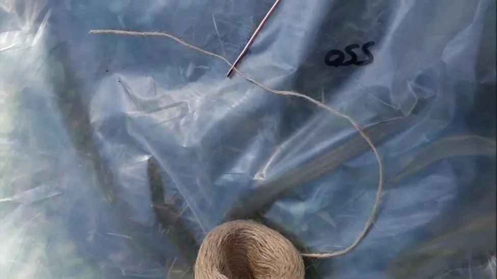 Дешевый и простой парник из пластиковых труб