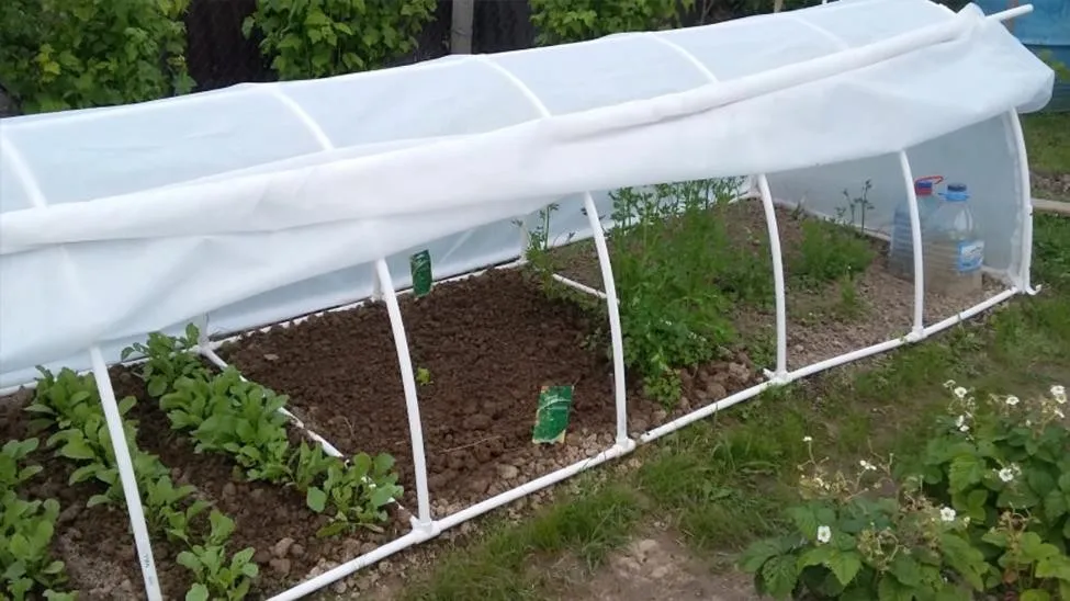 Дешевый и простой парник из пластиковых труб