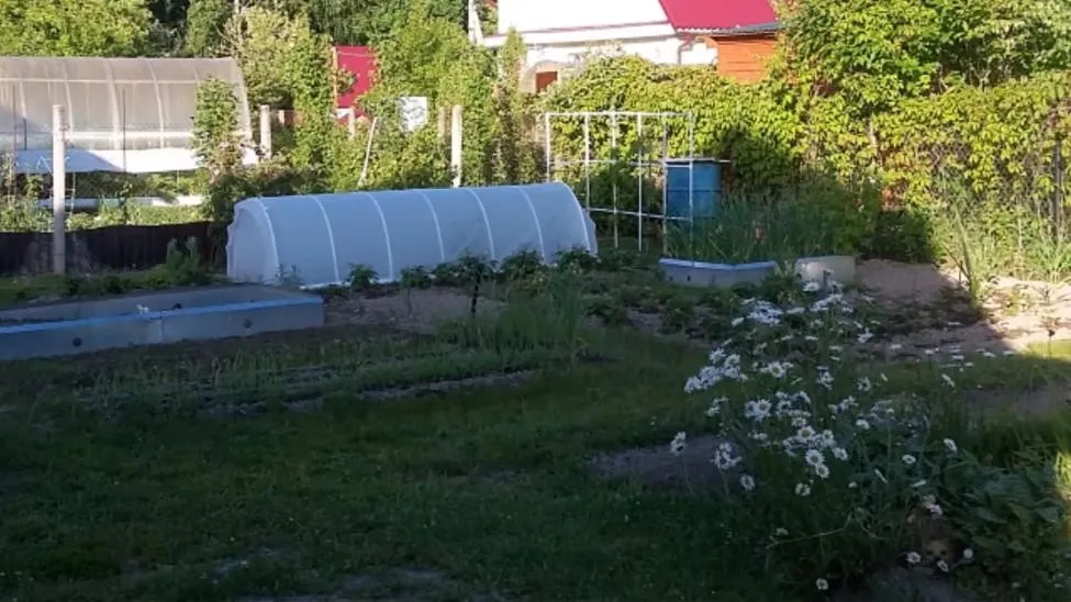 Дешевый и простой парник из пластиковых труб