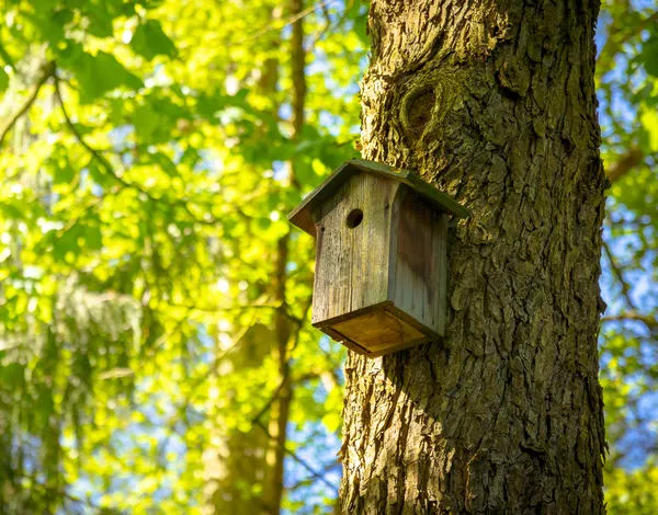 Простая конструкция - самый лучший вариант